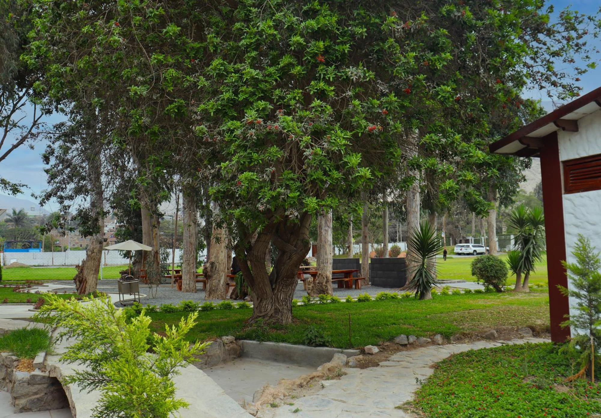 Los Andes - Restaurant & Bungalows Cieneguilla Εξωτερικό φωτογραφία